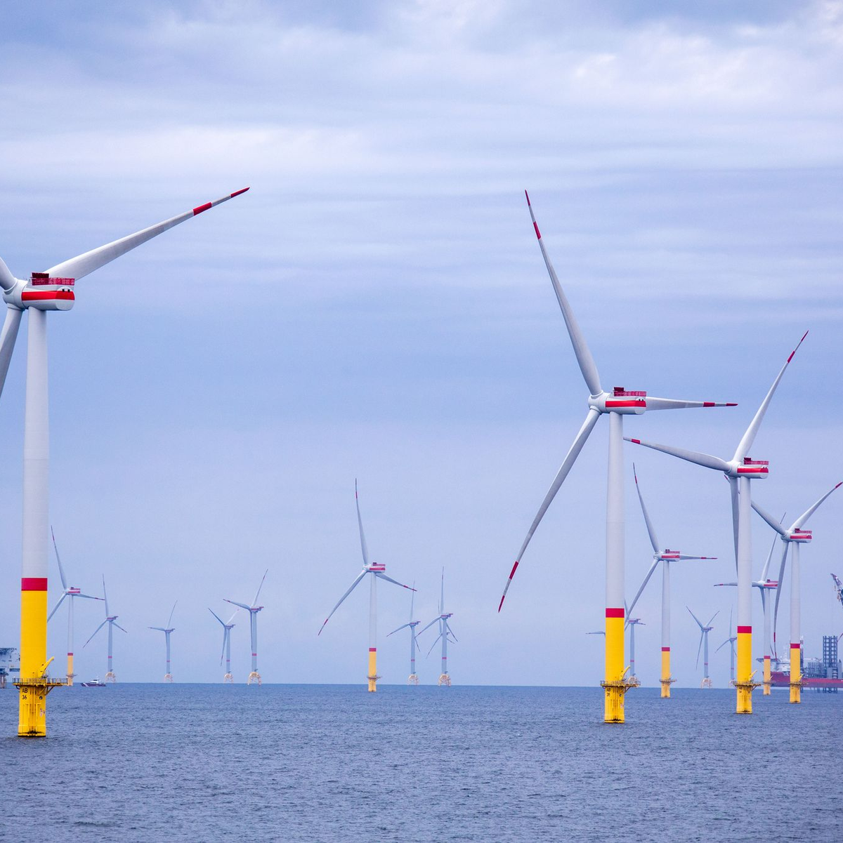 Die Windparks in der Ostsee produzierten nach Angaben des Netzbetreibers 50Hertz im vergangenen Jahr etwa zehn Prozent mehr Strom als im Jahr zuvor. (Archivbild)  - Foto: Jens Büttner/dpa-Zentralbild/dpa