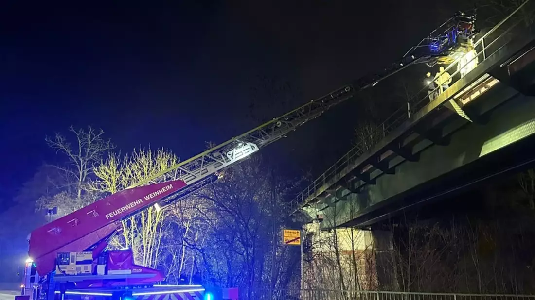 FW Weinheim: Feuerwehr rettet vier junge Menschen aus unwegsamem Gelände - Bild: presseportal.de