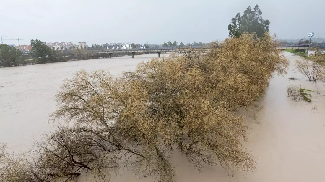 Am Samstag hatte das Sturmtief Marta zahlreiche Flüsse wie hier den Guadalquivir in Andalusien über die Ufer treten lassen. Es war bereits der siebte Atlantiksturm seit Jahresbeginn, der über Portugal, Spanien und Marokko hinwegzog. - Bild: Eduardo Briones/EUROPA PRESS/dpa