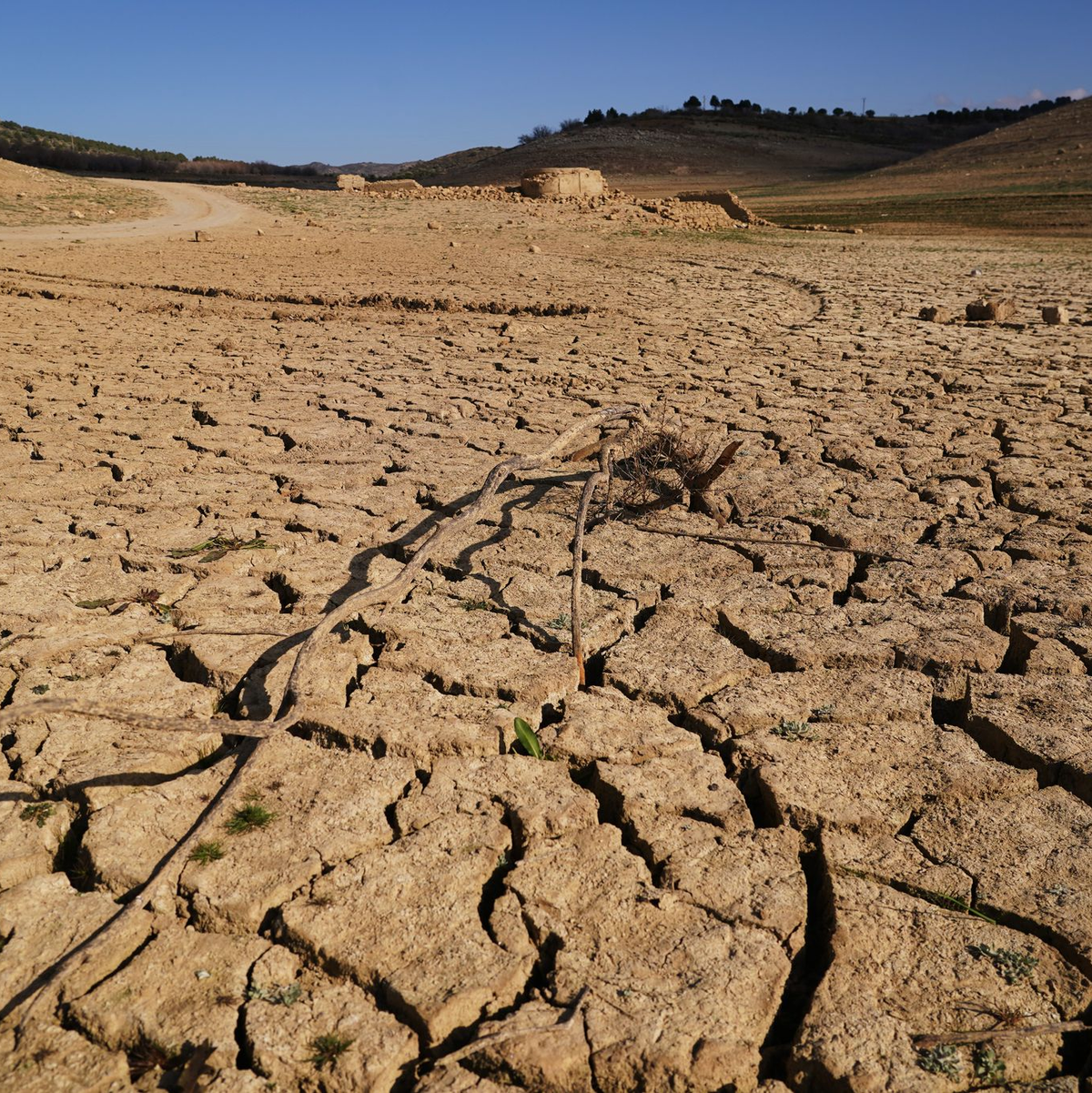 Langfristig warnen Wissenschaftler vor einer Austrocknung Südspaniens infolge des Klimawandels. - Foto: Álex Zea/EUROPA PRESS/dpa