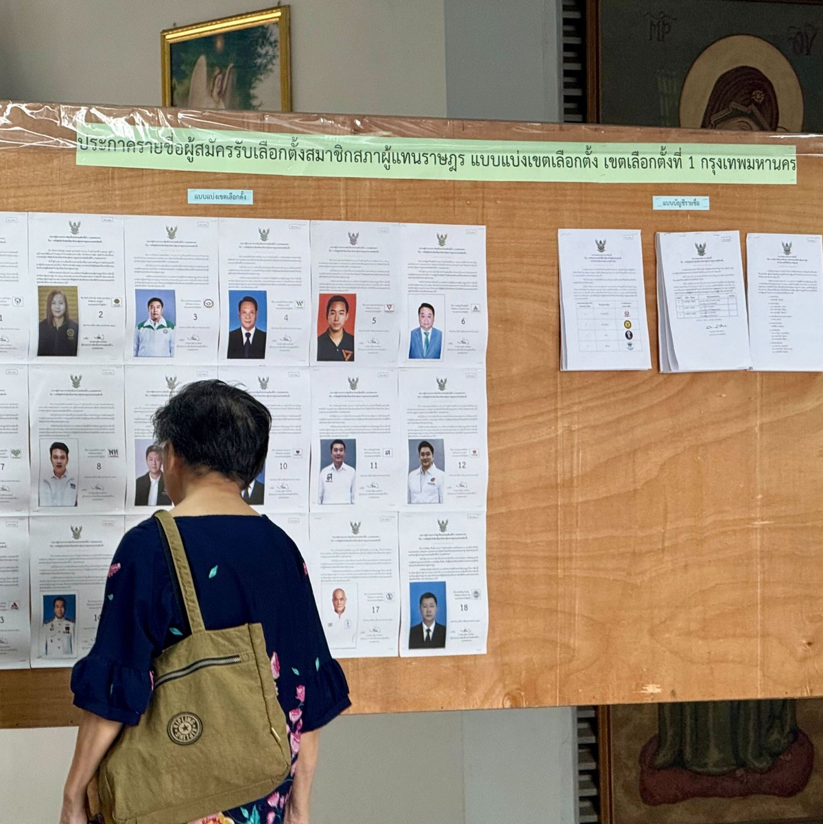 Neben einem neuen Parlament stimmten die Wähler auch über eine mögliche neue Verfassung ab. - Foto: Carola Frentzen/dpa