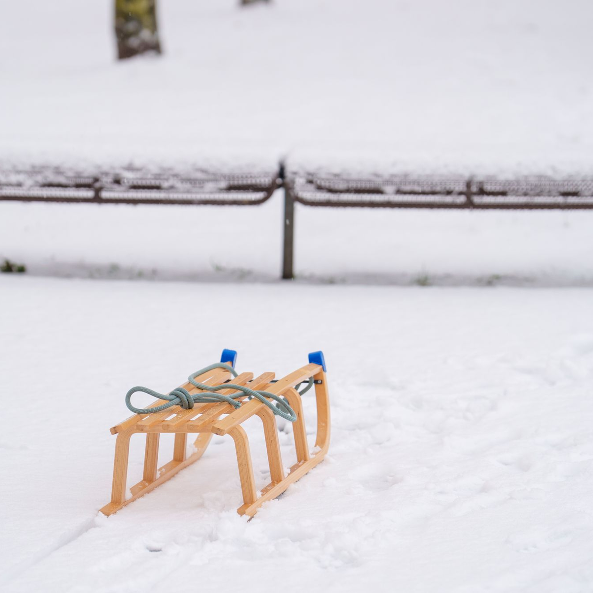 Händler melden eine deutlich höhere Nachfrage nach Produkten wie Schlitten. (Symbolbild) - Foto: Andreas Arnold/dpa