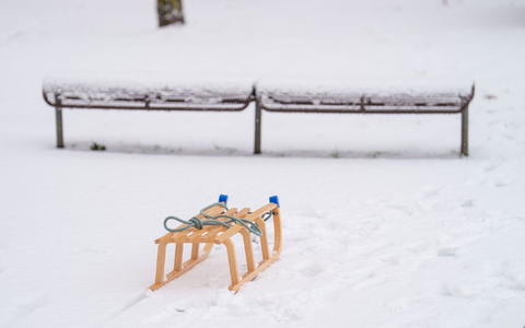 HÀndler melden eine deutlich höhere Nachfrage nach Produkten wie Schlitten. (Symbolbild) - Foto: Andreas Arnold/dpa HÀndler melden eine deutlich höhere Nachfrage nach Produkten wie Schlitten. (Symbolbild) - Foto: Andreas Arnold/dpa