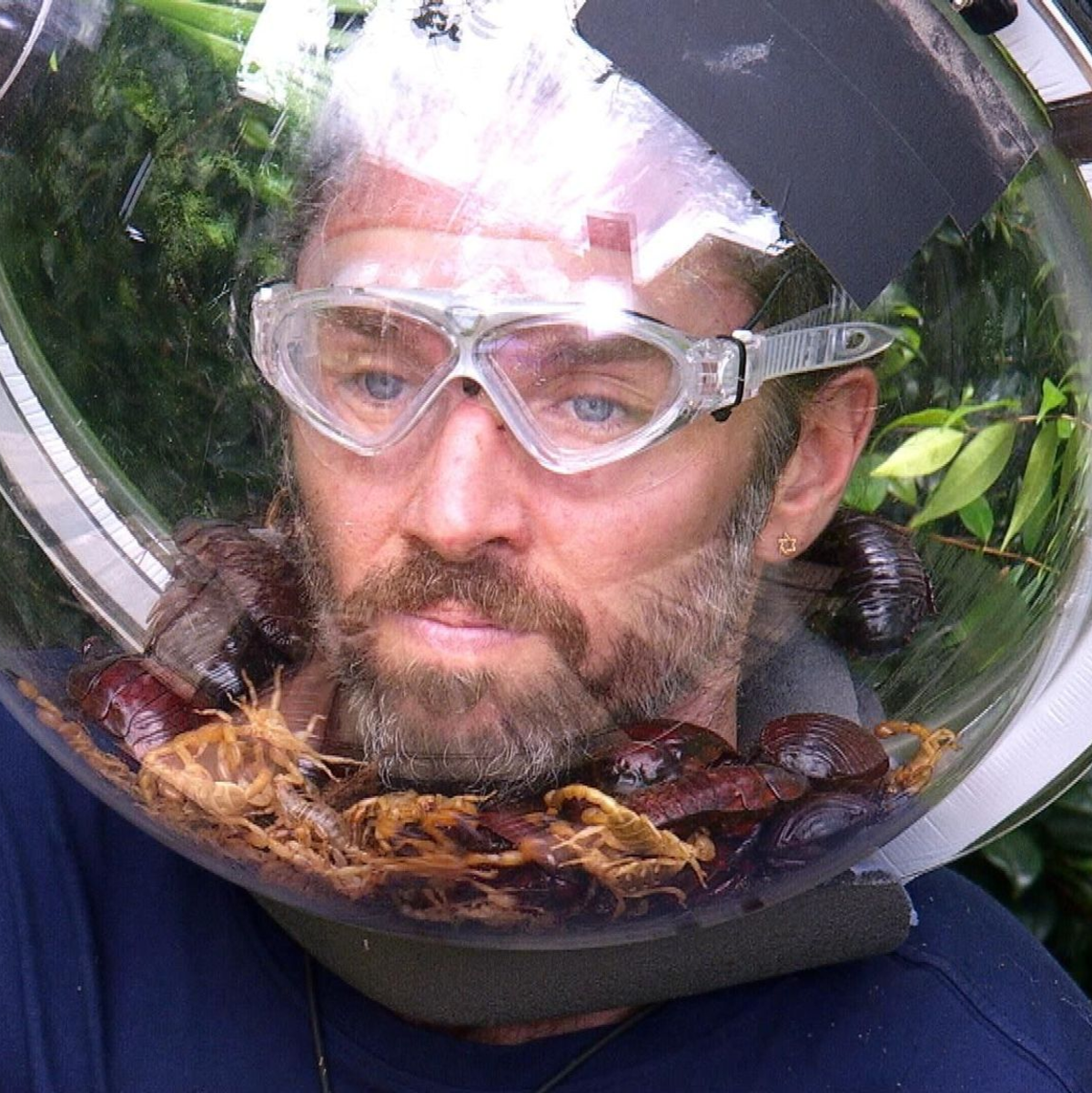 Auch das krabbeligste Getier konnte ihn nicht stoppen: Musiker Gil Ofarim ist Dschungelkönig. - Foto: RTL/dpa