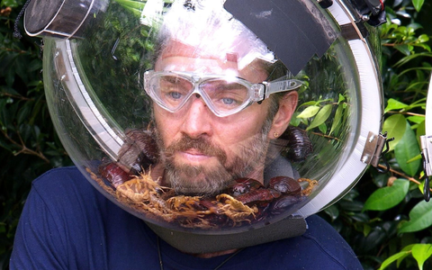 Auch das krabbeligste Getier konnte ihn nicht stoppen: Musiker Gil Ofarim ist Dschungelkönig. - Foto: RTL/dpa