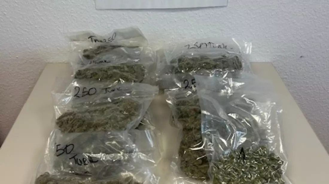 HZA-OS: Osnabrücker Zoll stellt 2 KG Marihuana und 540 Gramm 3 CMC im Zug sicher; Drogenkurier festgenommen - Bild: presseportal.de