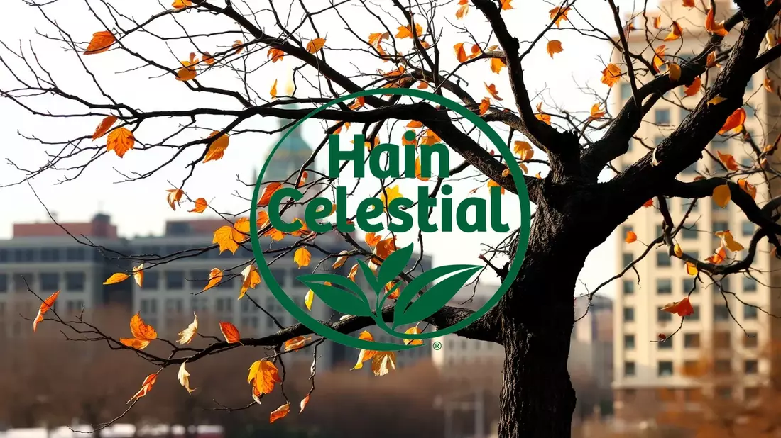 Hain Celestial Sheds Snack Brands in Strategic Overhaul Illustration mit AI erstellt übermittelt durch boerse-global.de