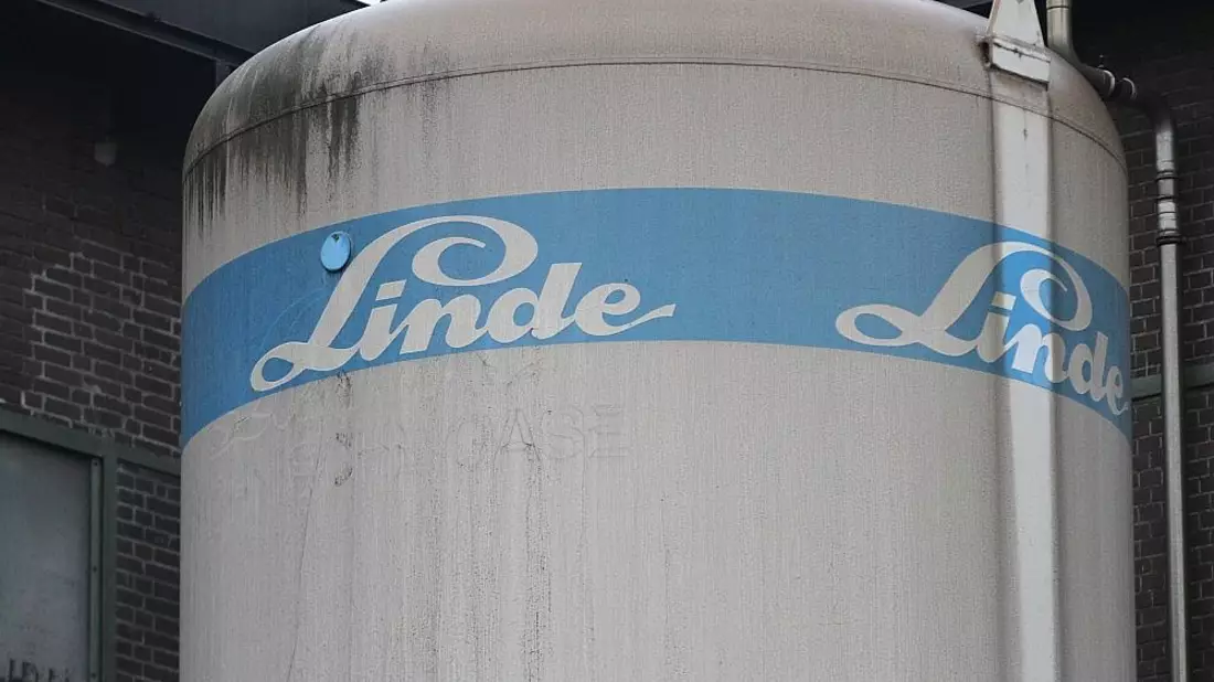 Linde (Archiv) - Bild: via dts Nachrichtenagentur