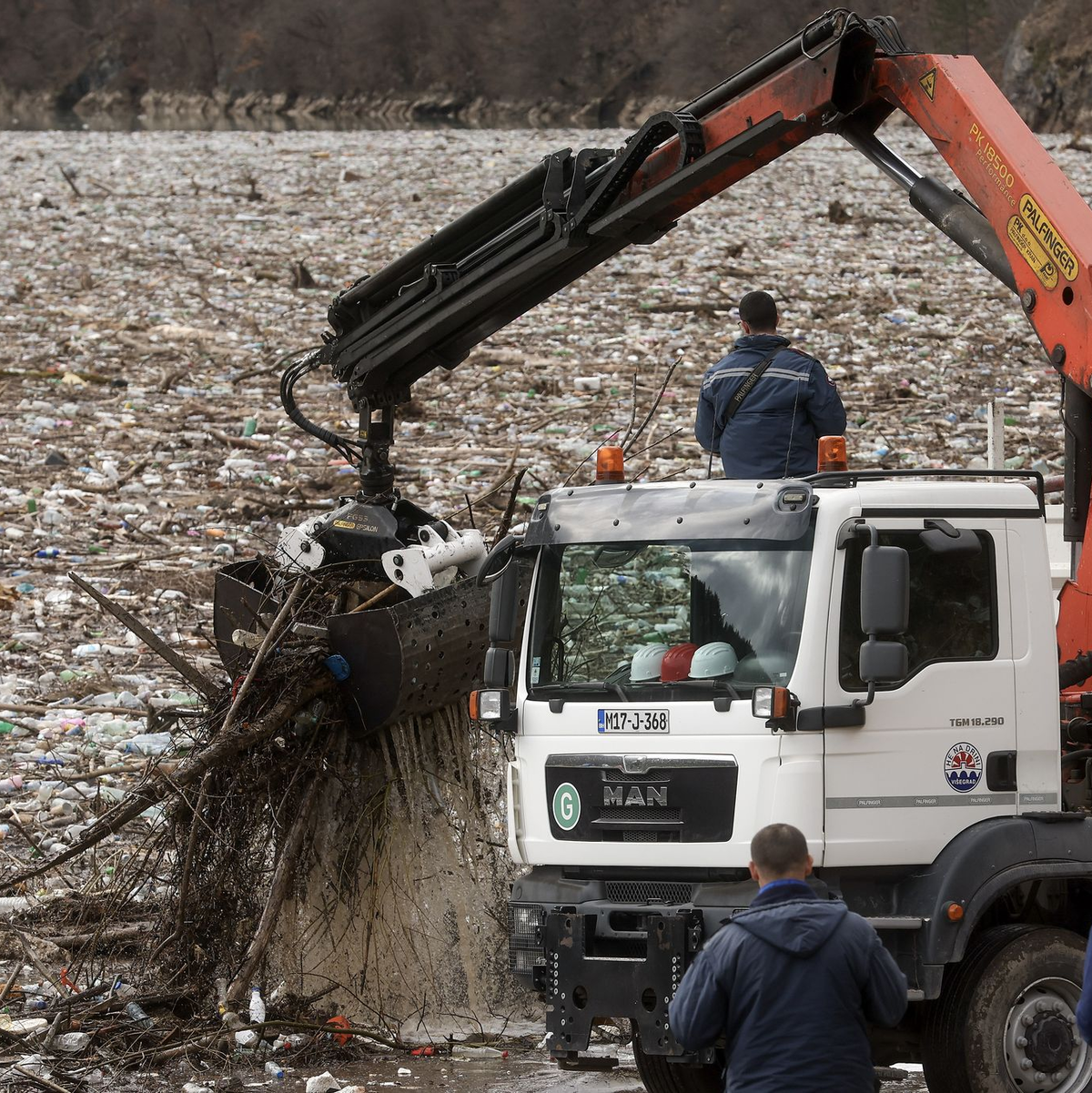 Der Verlust biologischer Vielfalt zählt einem aktuellen Weltbericht zufolge zu den größten Bedrohungen für die Wirtschaft. - Foto: Armin Durgut/AP/dpa