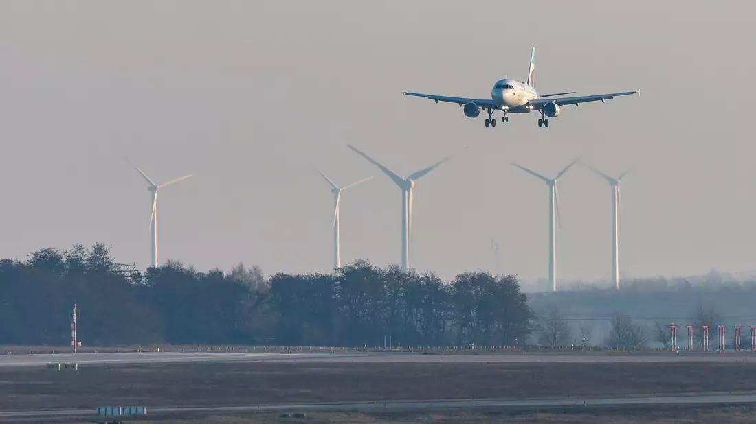 In einigen Bereichen sind die Folgen für Umwelt und Natur offensichtlicher als bei anderen. - Bild: Jan Woitas/dpa