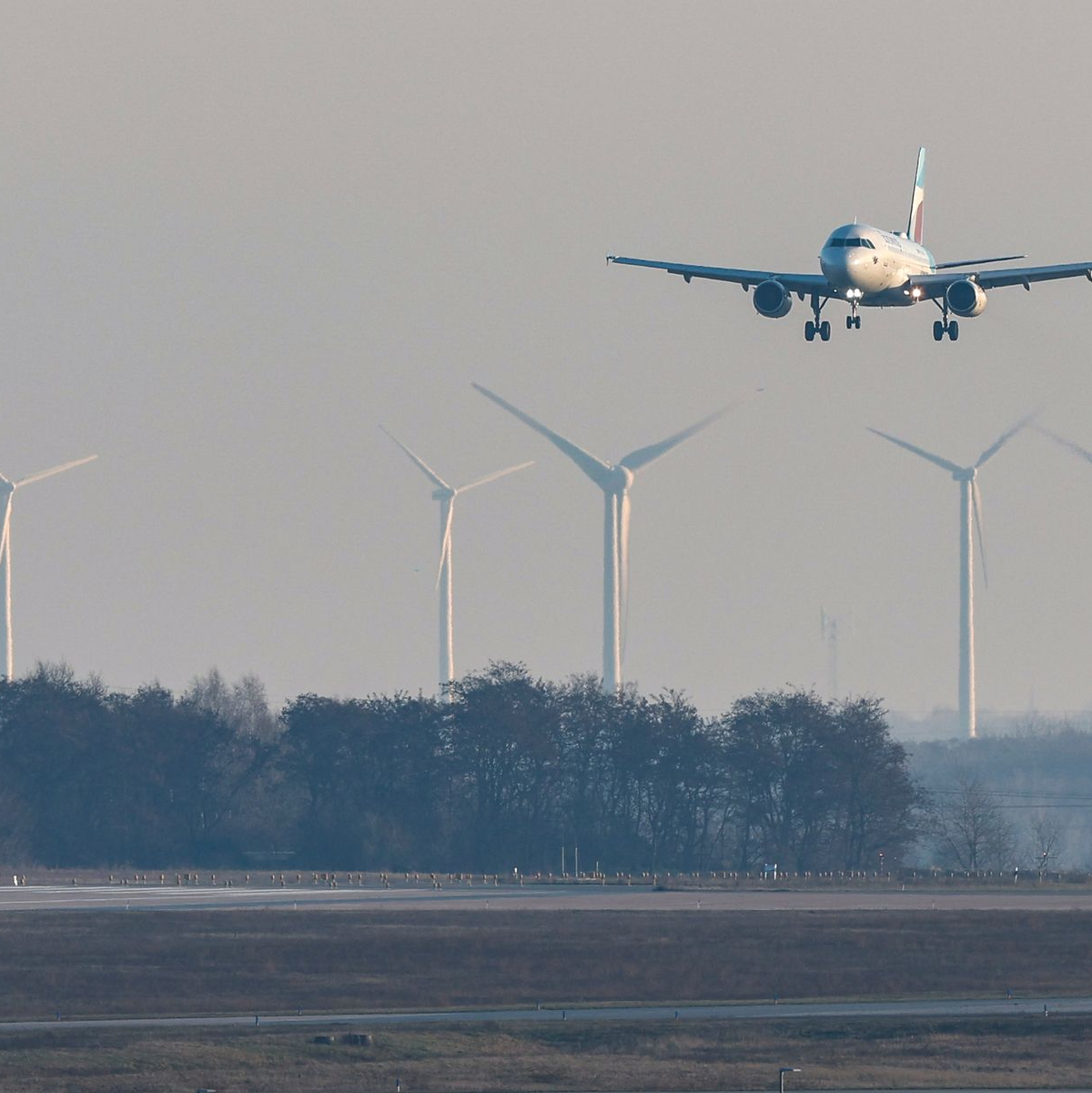 In einigen Bereichen sind die Folgen für Umwelt und Natur offensichtlicher als bei anderen. - Foto: Jan Woitas/dpa