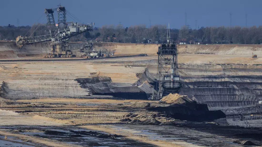 Aktuell erwähnen weniger als ein Prozent der börsennotierten Unternehmen in ihren Berichten ihre Auswirkungen auf die Biodiversität, hieß es.  - Bild: Oliver Berg/dpa