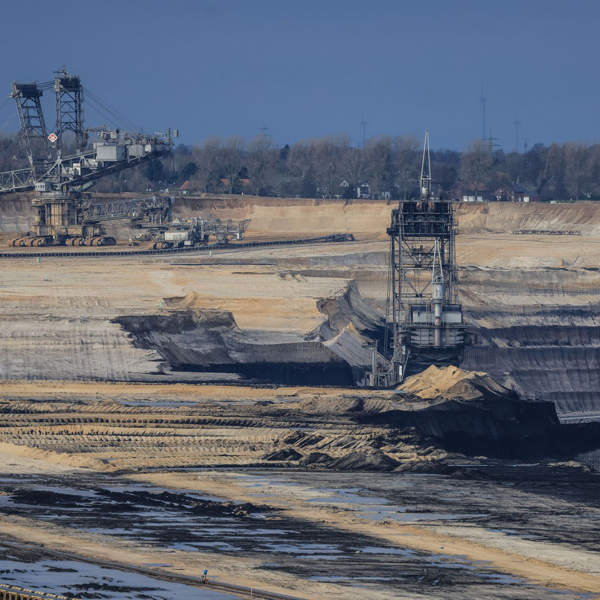 Aktuell erwähnen weniger als ein Prozent der börsennotierten Unternehmen in ihren Berichten ihre Auswirkungen auf die Biodiversität, hieß es.  - Foto: Oliver Berg/dpa