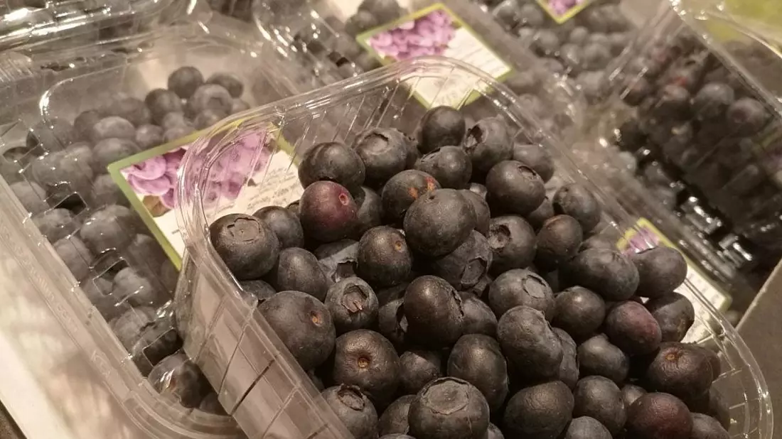 Heidelbeeren (Archiv) - Bild: via dts Nachrichtenagentur