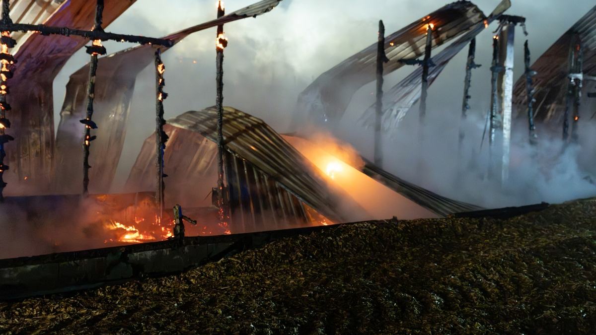 FW-RD: Scheunenbrand in Schülp - Großaufgebot der Feuerwehr verhindert Ausbreitung - Foto: presseportal.de