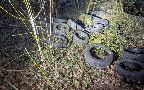 POL-MA: Bammental/Rhein-Neckar-Kreis: Unbekannte entsorgen Altreifen in der Natur - Zeugenaufruf - Foto: presseportal.de