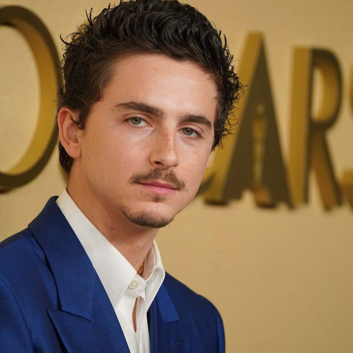 Schauspieler Timothée Chalamet ist zum dritten Mal für einen Oscar nominiert. - Foto: Jordan Strauss/Invision/AP/dpa