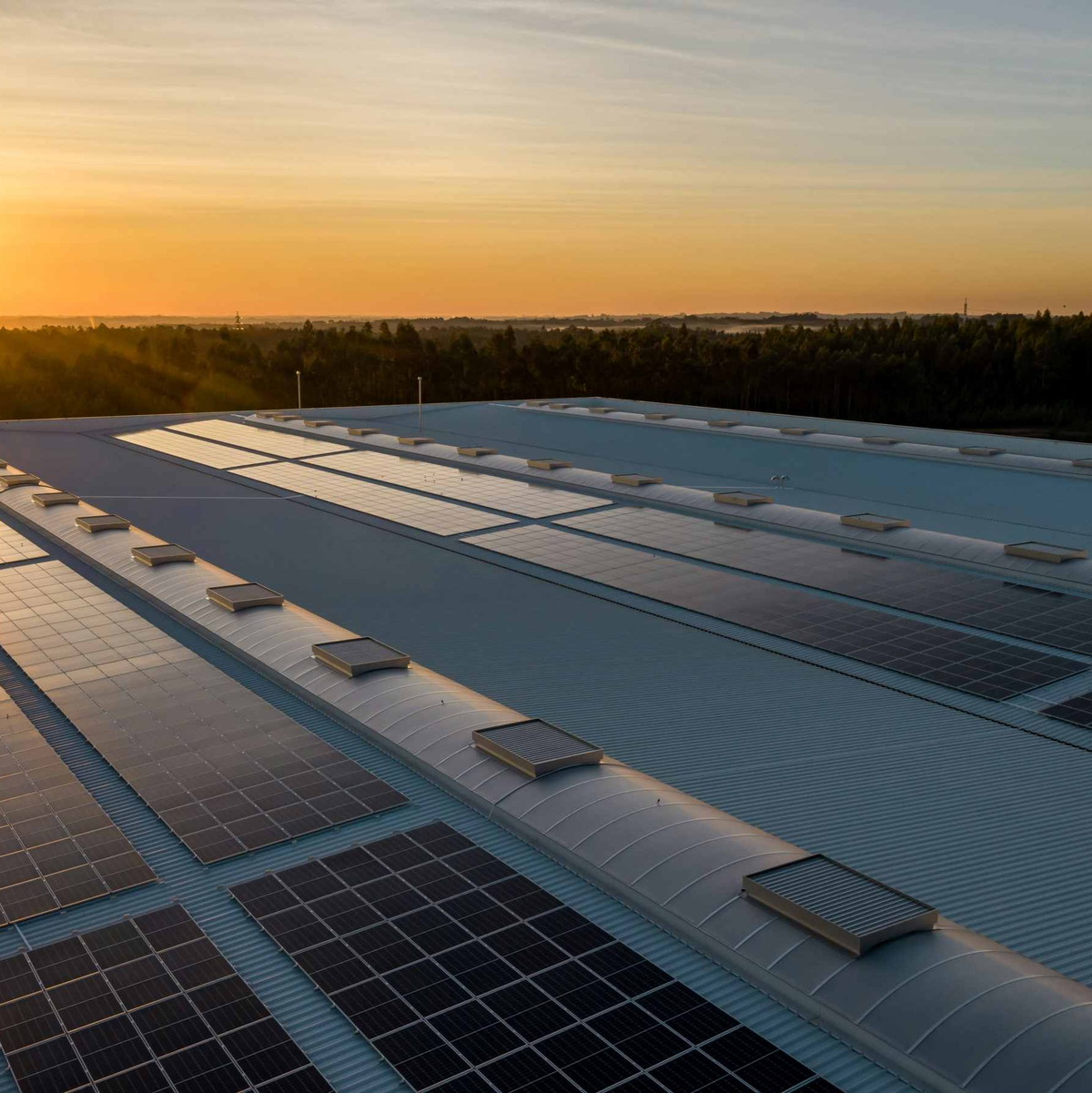 Windparks - Foto: @Nuno Marques auf Unsplash