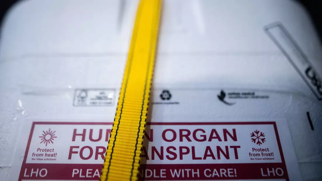 Kühlbox für eine Organspende: Ein zweijähriger Junge kämpft in Neapel um sein Leben. Nach einem Transplantationsfehler wird europaweit nach einem passenden Spenderherz gesucht. (Archivbild) - Bild: Sebastian Gollnow/dpa