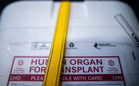 Kühlbox für eine Organspende: Ein zweijähriger Junge kämpft in Neapel um sein Leben. Nach einem Transplantationsfehler wird europaweit nach einem passenden Spenderherz gesucht. (Archivbild) - Foto: Sebastian Gollnow/dpa