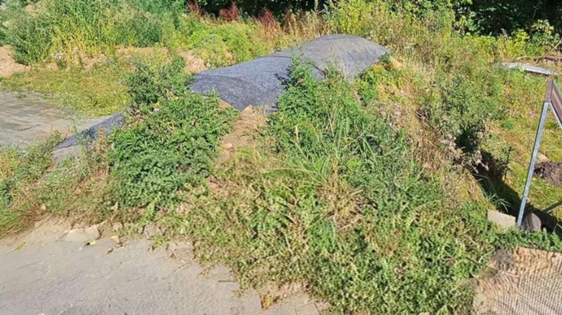 POL-HS: Rampen auf Pumptrackbahn gestohlen - Bild: presseportal.de