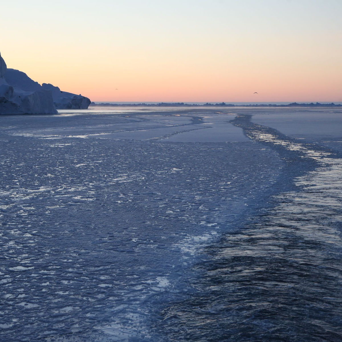 Das Eis über Grönland verringerte sich 2025 im 29. Jahr in Folge. Es schmilzt direkt oder fließt ins Meer. (Illustration) - Foto: Steffen Trumpf/dpa