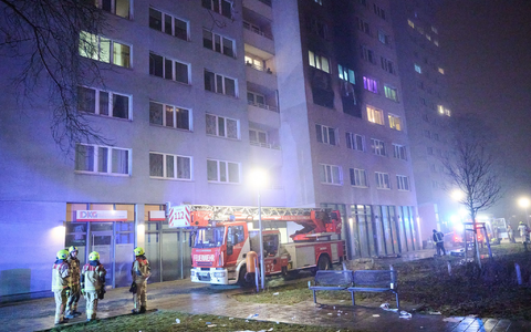 Die Feuerwehr war mit 170 Kräften im Einsatz.  - Foto: Annette Riedl/dpa