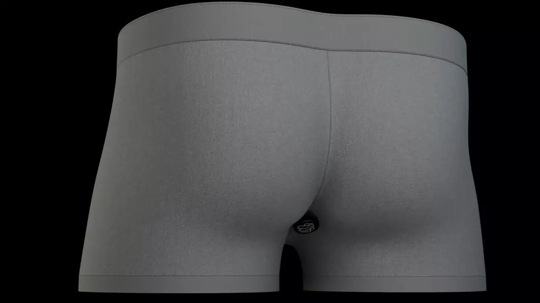 Modell der smarten Unterhose - Bild: Brantley Hall/University of Maryland/dpa