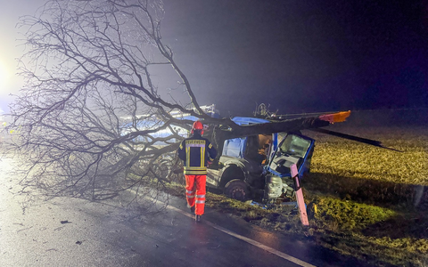 FW Flotwedel: LKW kommt von Fahrbahn ab - Baum blockiert B214 - Foto: presseportal.de