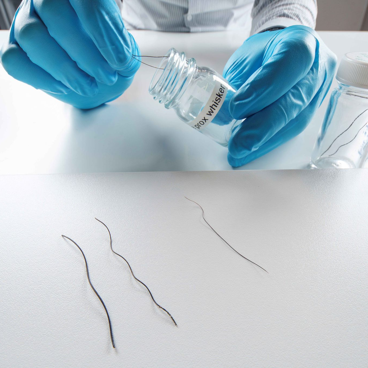 Die Studie untersuchte Rüsselhaare von Elefanten. - Foto: ---/Max-Planck-Insitut für Intelligente Systeme/dpa