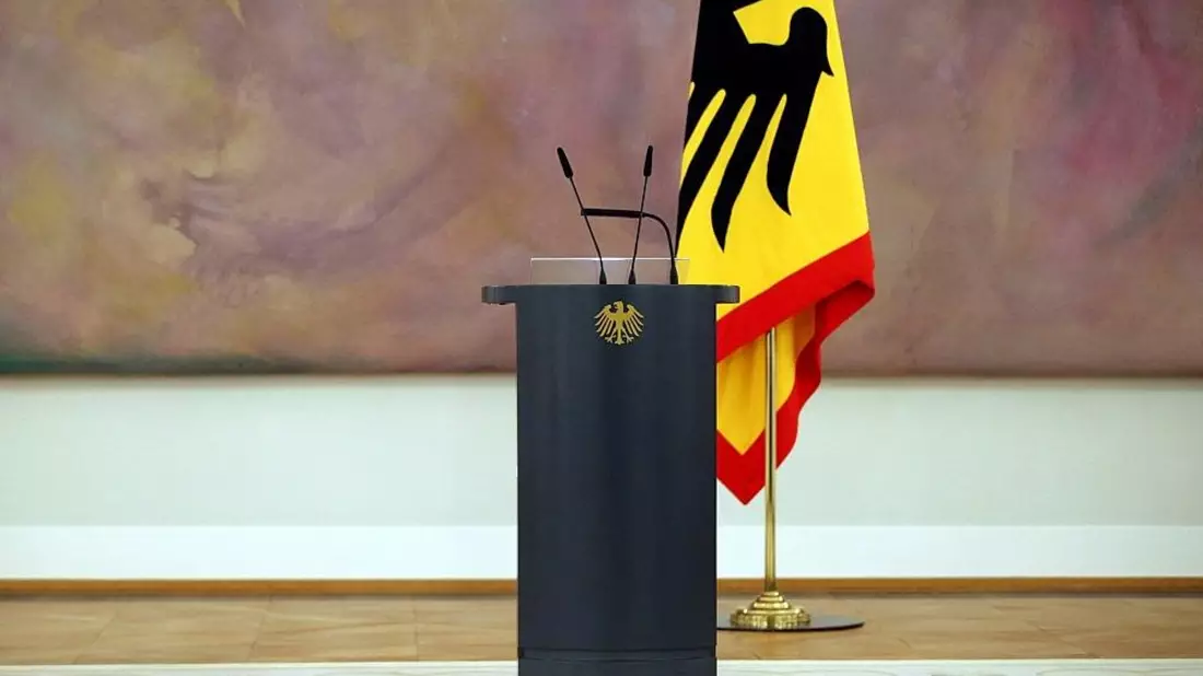 Steinmeier wünscht sich Politik-Profi als Nachfolger