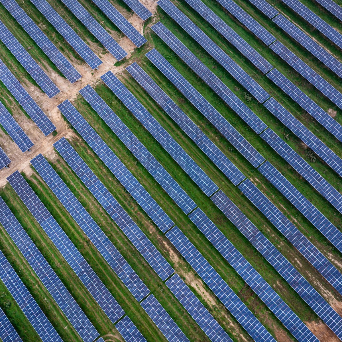 In Mecklenburg-Vorpommern hat Vattenfall 2025 einen Agri-Photovoltaik-Park in Betrieb genommen. Agri-Photovoltaik beschreibt, dass Flächen gleichzeitig für die Landwirtschaft und die Stromerzeugung genutzt werden. (Archivbild) - Foto: Jens Büttner/dpa