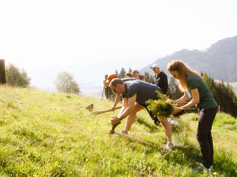 Bäume für die Zukunft - Foto: Bäume für Morgen über pressetext.de