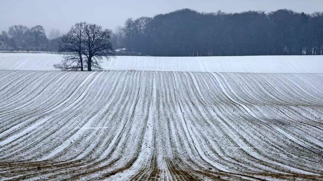 Schnee bis in die Niederungen ist am Samstag für die Mitte und den Süden vorhergesagt. - Bild: Bernd Wüstneck/dpa