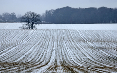 Schnee bis in die Niederungen ist am Samstag fĂŒr die Mitte und den SĂŒden vorhergesagt. - Foto: Bernd WĂŒstneck/dpa Schnee bis in die Niederungen ist am Samstag fĂŒr die Mitte und den SĂŒden vorhergesagt. - Foto: Bernd WĂŒstneck/dpa
