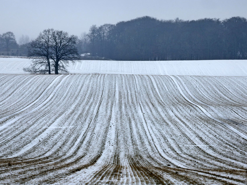 Schnee bis in die Niederungen ist am Samstag für die Mitte und den Süden vorhergesagt. - Foto: Bernd Wüstneck/dpa