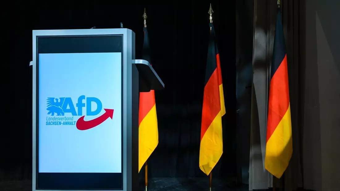 Insbesondere der AfD-Landesverband in Sachsen-Anhalt steht im Fokus. (Archivbild) - Bild: Heiko Rebsch/dpa