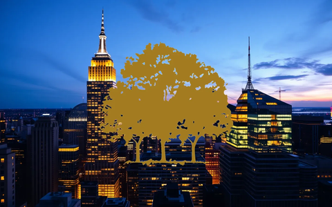Dilution Dampens Canopy Growth’s Outlook Despite Operating Progress - Foto: über boerse-global.de
