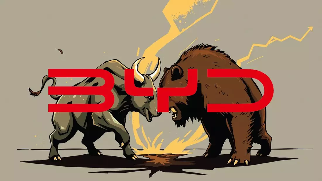 Pentagon Listing Sparks Confusion Over BYD, Then It Vanishes - Bild: über boerse-global.de