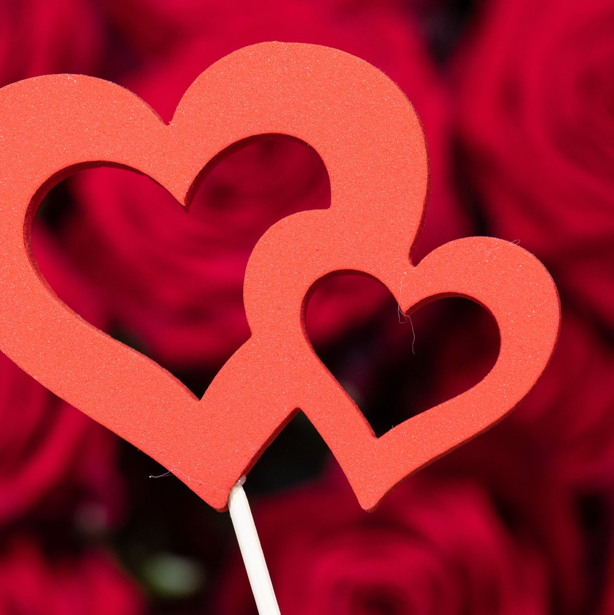 Sag es durch die Blume: das rote Herz als Symbol für die Liebe. (Archivbild) - Foto: Boris Roessler/dpa