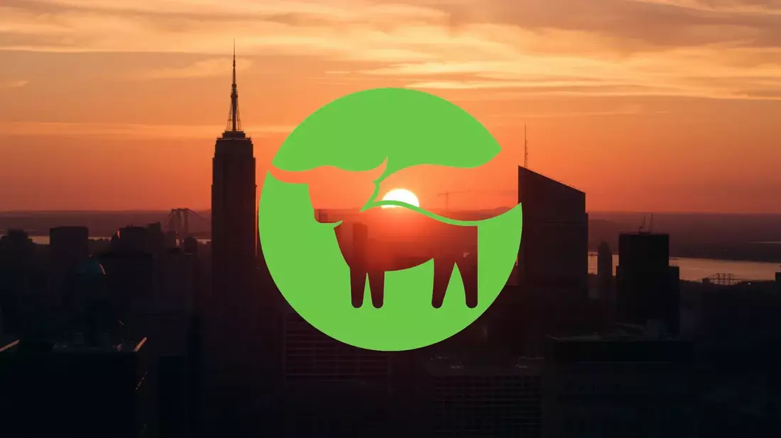 Demanda colectiva contra Beyond Meat: se acerca la fecha para designar al Lead Plaintiff - Bild: über boerse-global.de
