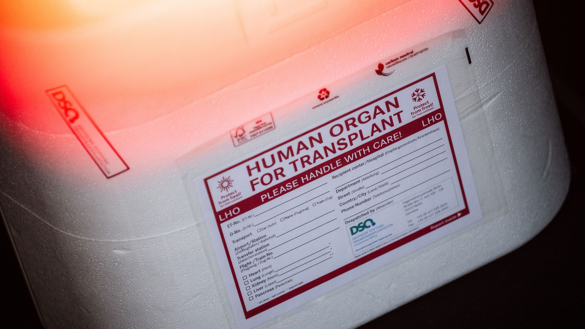 In Neapel braucht der kleine Junge dringend ein neues Spenderherz. (Symbolbild) - Foto: Sebastian Gollnow/dpa