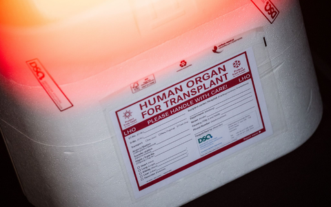 In Neapel braucht der kleine Junge dringend ein neues Spenderherz. (Symbolbild) - Foto: Sebastian Gollnow/dpa