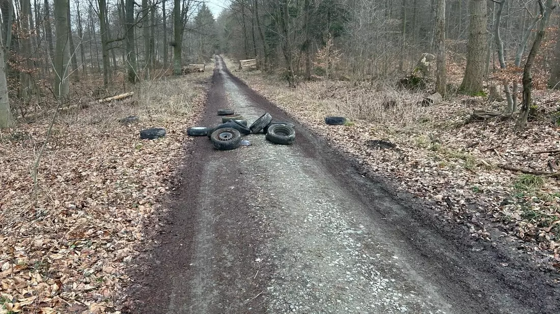 POL-PDMT: 15 Altreifen illegal im Wald entsorgt / Mögliche Augenzeugen gesucht - Bild: presseportal.de