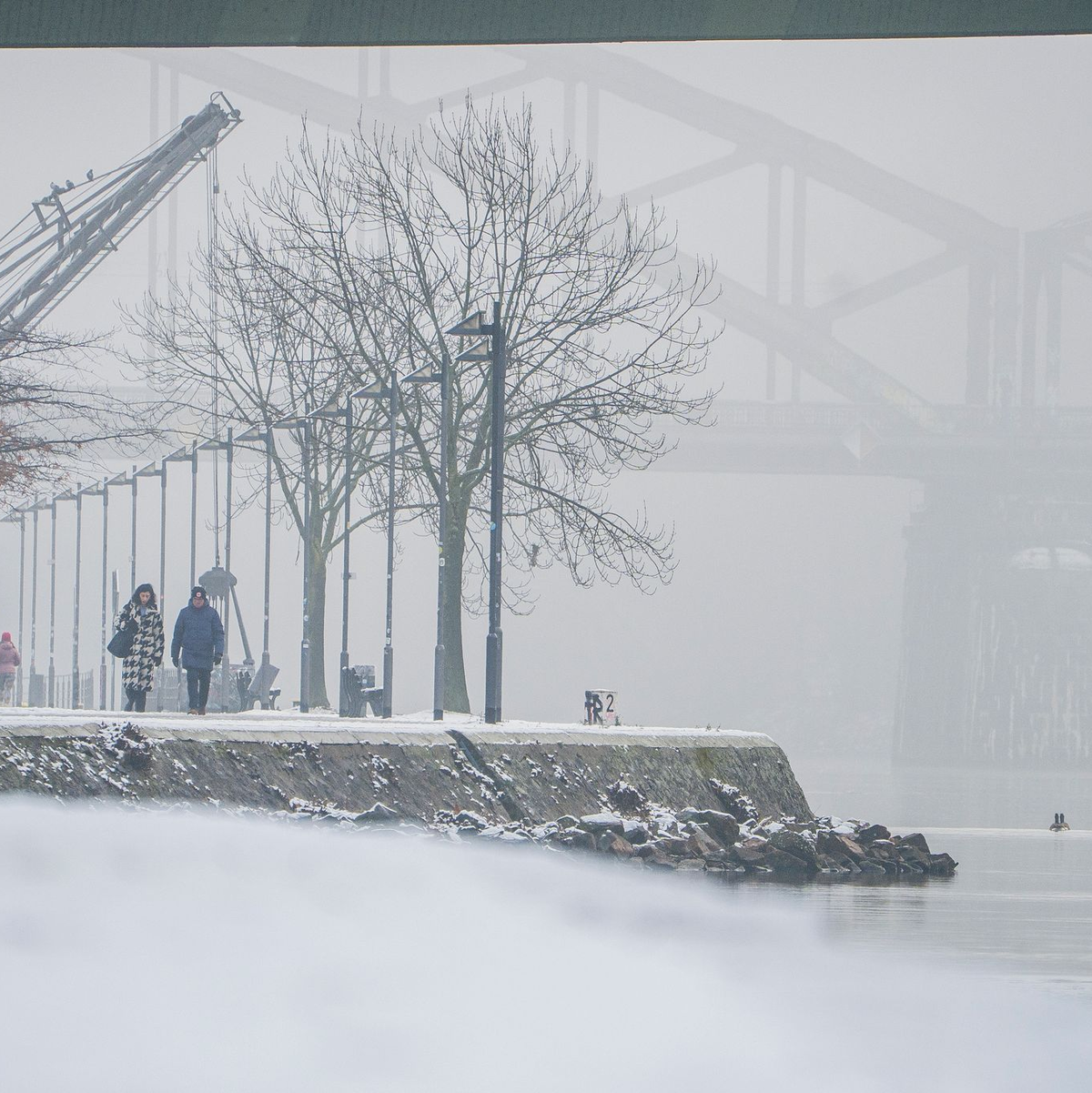 In der Nacht von Sonntag auf Montag könnte es erneut kräftig schneien. (Archivbild) - Foto: Andreas Arnold/dpa