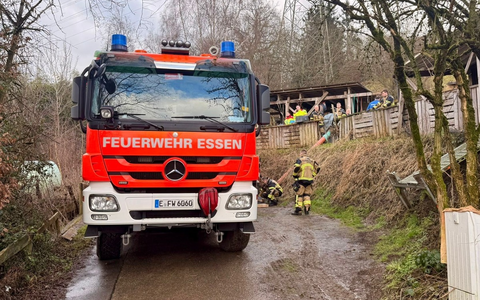 FW-E: Gestürztes Pferd in Kupferdreh - Tierärztin muss Pferd einschläfern - Foto: presseportal.de