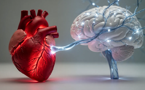 Herzgesundheit schützt vor Alzheimer – neue Beweise - Foto: über boerse-global.de