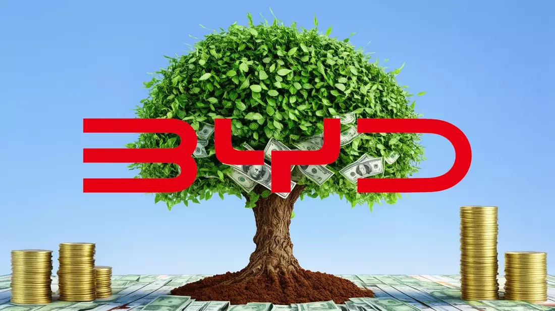 BYD wyprzedza Forda w globalnym wy?cigu producentów - Bild: über boerse-global.de
