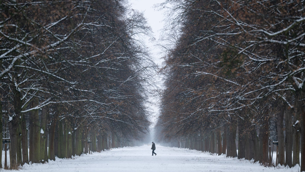 Das Wetter in Deutschland bleibt winterlich. - Foto: Sebastian Kahnert/dpa