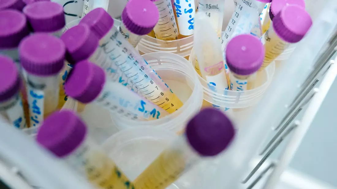 MnHexP ist ein Abbauprodukt des Weichmachers Di-n-hexylphthalat (DnHexP), der als fortpflanzungsschädigend gilt. (Symbolbild) - Bild: Bernd Thissen/dpa